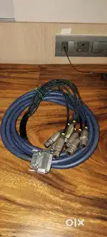 Van Damme DB25 to 8x female xlr loom