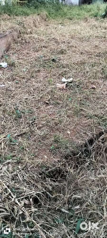 Near Honda showroom pijulibagicha for Dhenkanal