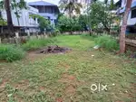 52 Cents of Commercial Land in Kundanoor