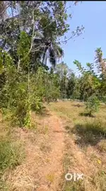 Plot for sale 75 cent road side plot.500 meter distance from koottanad