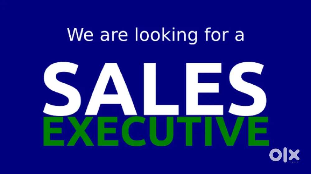 Sales executive