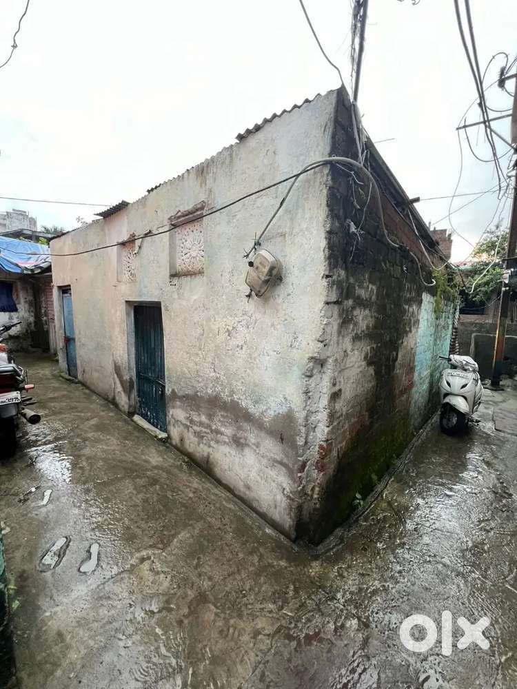 Patte wala Ghar Hai Eska Do patte haii