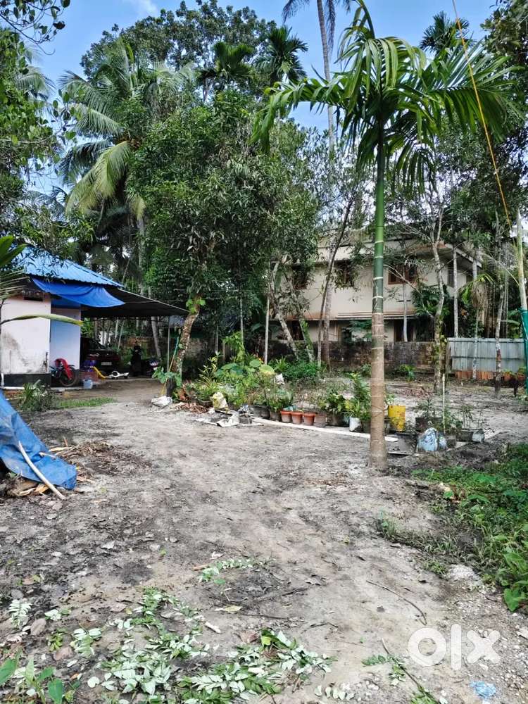 3.3 മീറ്റർ റോഡുള്ള 25 സെൻ്റ് സ്ക്വയർ റസിഡൻഷ്യൽ പ്ലോട്ട്