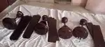 Orient and rockey company Brown colour ceiling fans