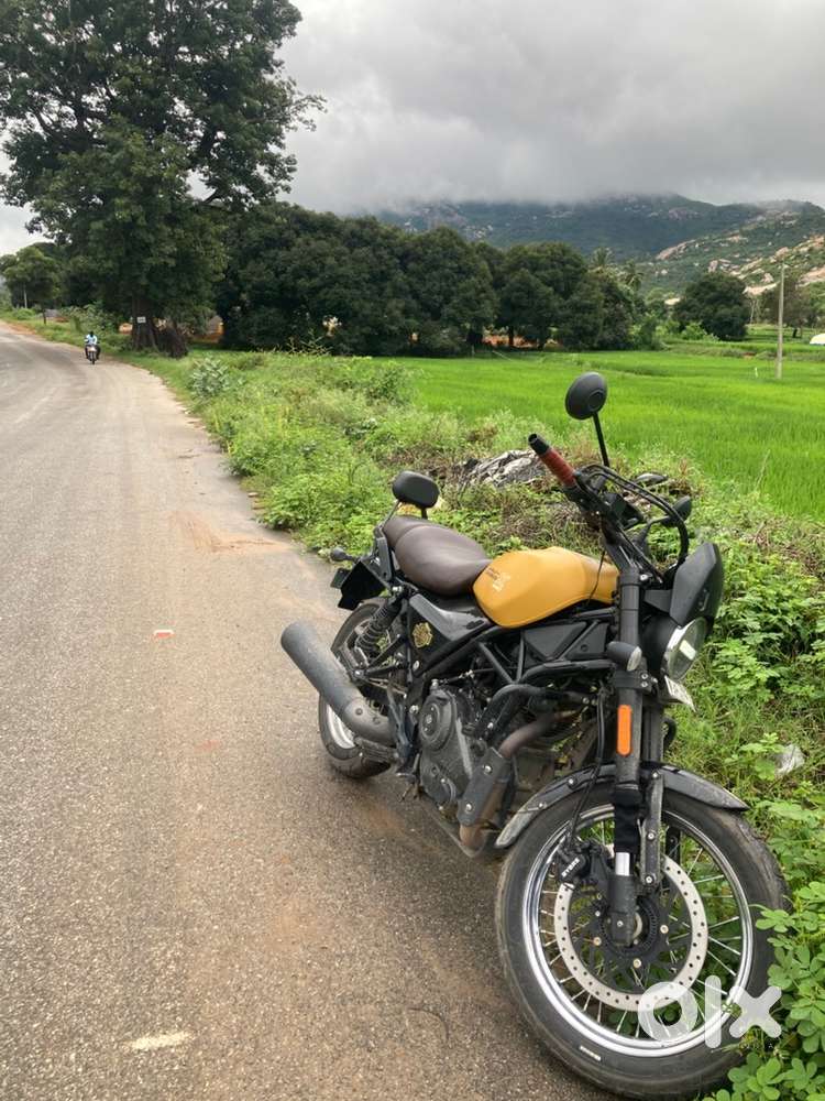 Harley davidson X 440