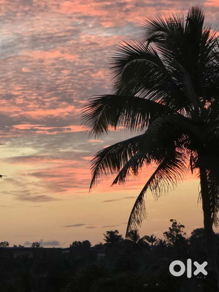 പഴയ വീടും 35 സെന്റ് സ്ഥലവും വില്പനക്ക്