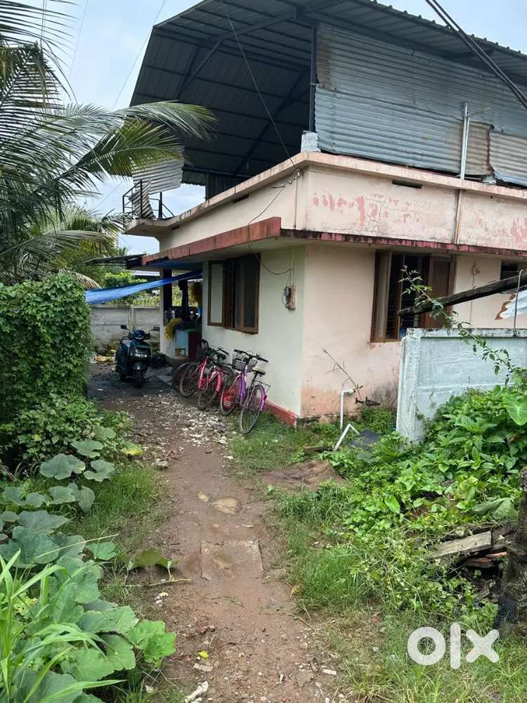 9.5Cent, Kochu Kadavanthra, Amalabhavan Road, Ernakulam, Kochi