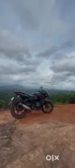Bajaj palser