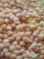 Pattukottai Coconut