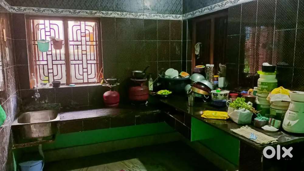 Need a female roomates