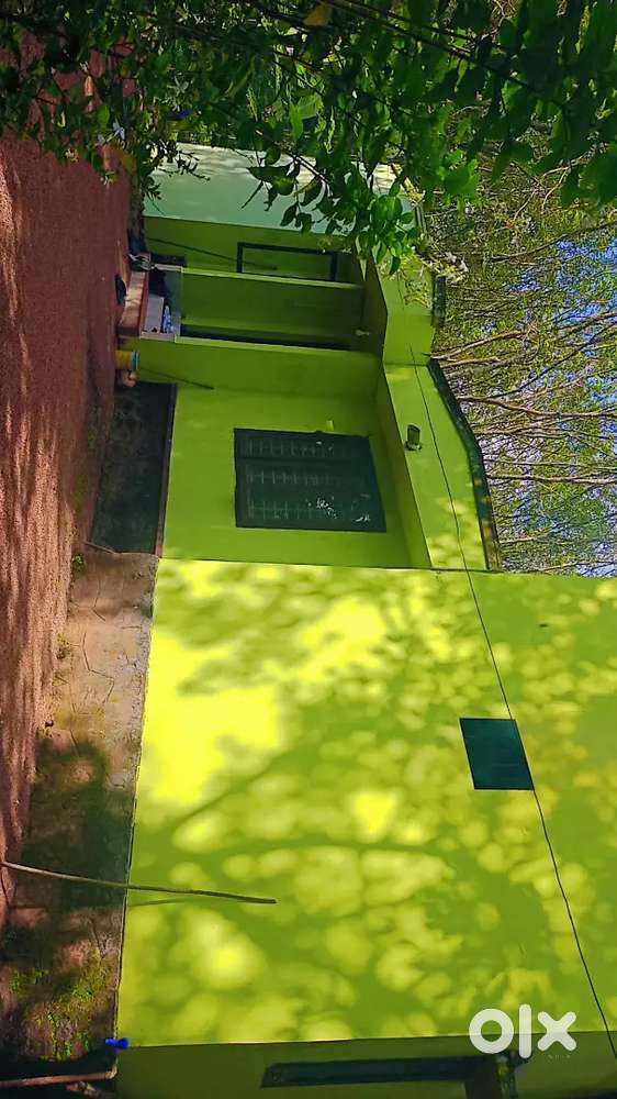 105 cent Rubber Land with 4 Bedroom house