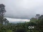 5 Acre Coffee Plantation for Sale – Cherambane, Coorg