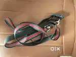 Belt for pet ( Delivery free near narol)