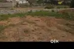 3 katha land