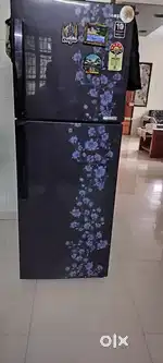 260 litter fridge