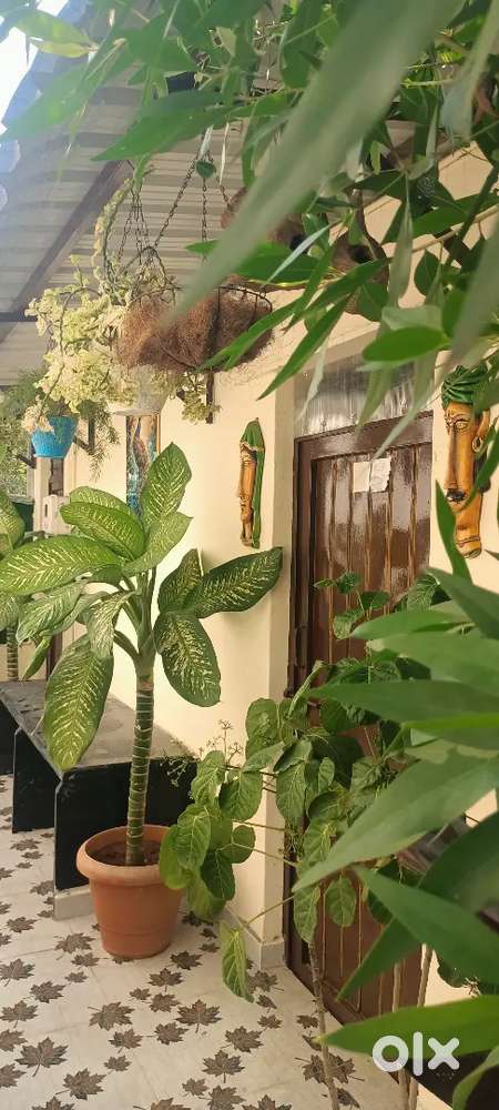 New Guest house For sale