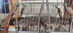 Dinning table with 6 chairs