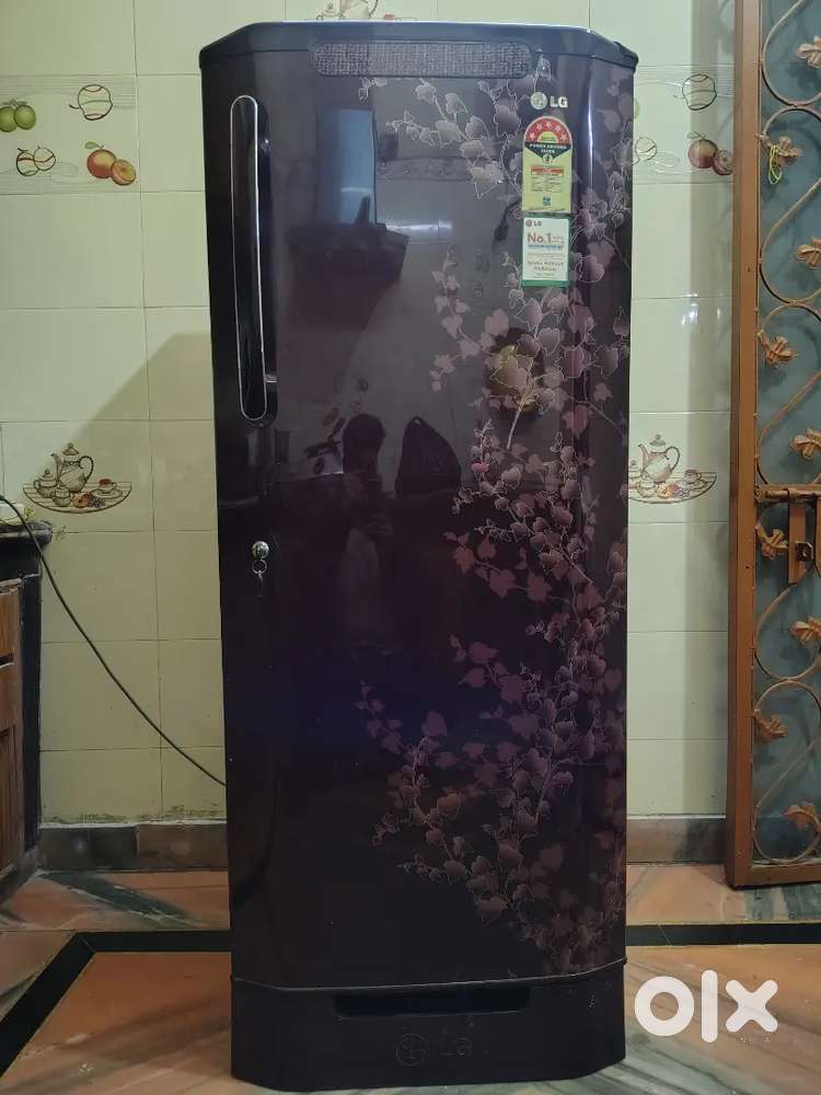 LG fridge with 5 star rating 235 liters
