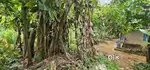 ഹൗസ് പ്ലോട്ട് വില്പനയ്ക്ക് 5 സെന്റ്9 ലക്ഷം സ്ഥലം തങ്കളം മനക്കപ്പടി