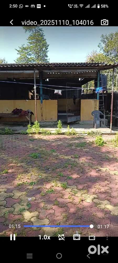 GOAT  FARMER AND CHICKEN FARM