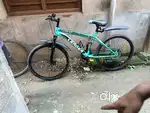 This is 7 month cycle