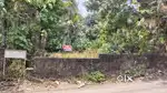 10 CENT INDIVIDUAL HOUSE PLOT SALE IN CHOTTANIKKARA