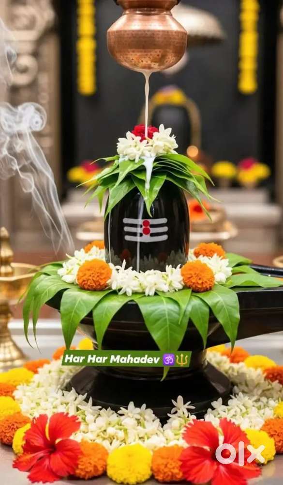 Mohit tawon madar tersha