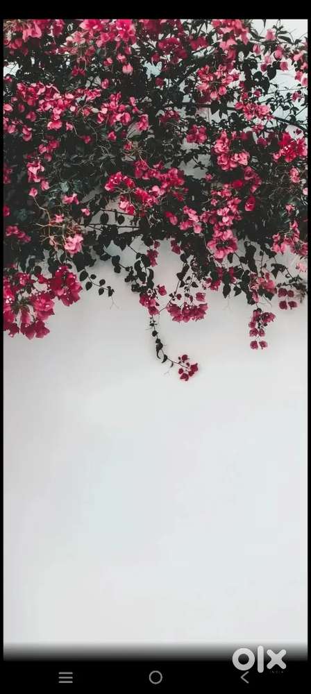 Salesman cum mobile technician