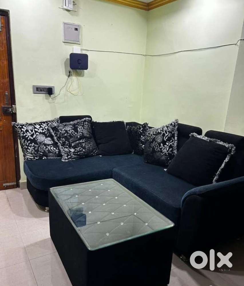 Need girl roomate job holder