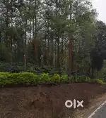10 acre coffee estate attache to highway