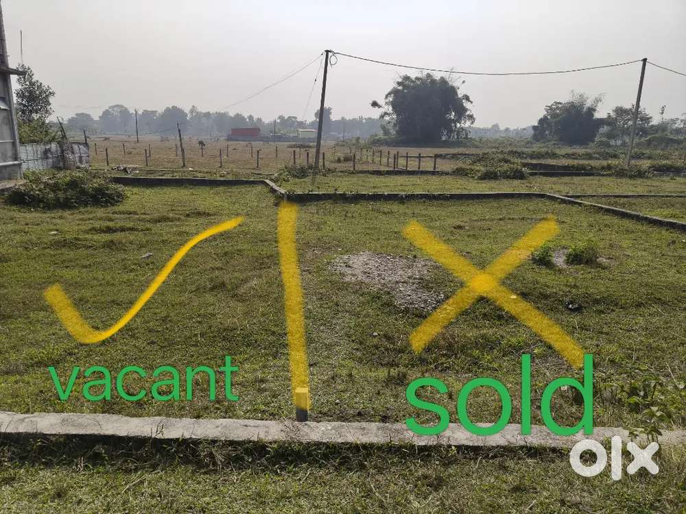 2.093 kattha land in lalman