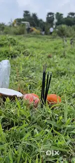 Plot For Sale