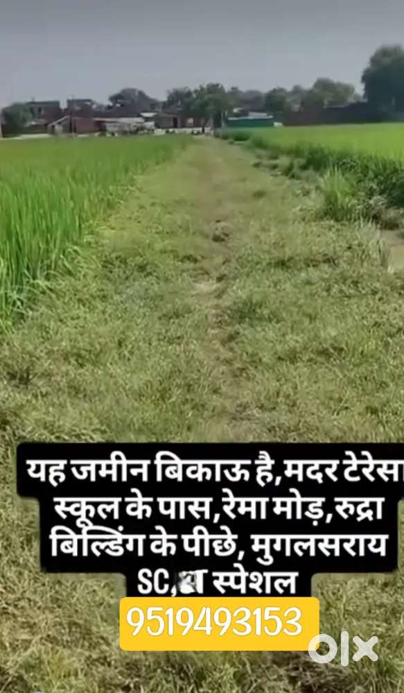 9 lakh bissa urgent sell sc cast ka jamini 12 fit road pr hai