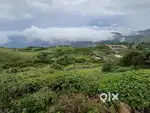 75 cents of Prime Property in Vagamon, Idukki