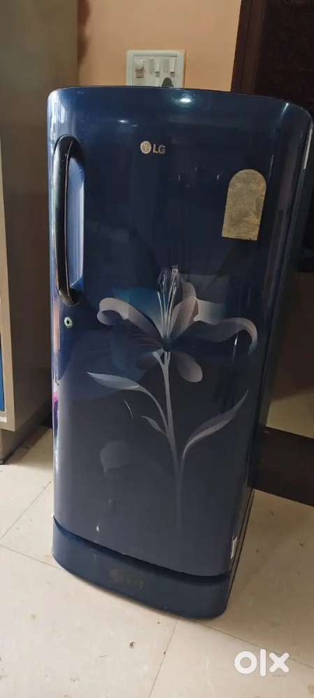 L G fridge