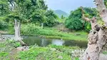 Pre-lounching Farmland only 450/- sqft in khandwaroad