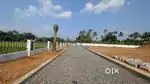 അങ്കമാലി പീച്ചാനിക്കാടിന് സമീപം മനോഹരമായ പ്ലോട്ടുകൾ വില്പനയ്ക്ക്