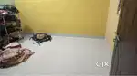 Female roommate wanted