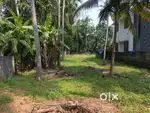 6 Cent Residential Land For Sale at Mundayad , Kannur (ml)