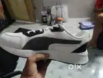 Puma shoes Brand new. Sneakers