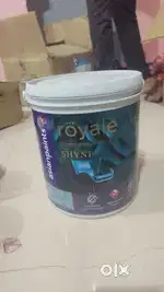 Asian paints royal sine colour