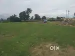 Job for Real Estate