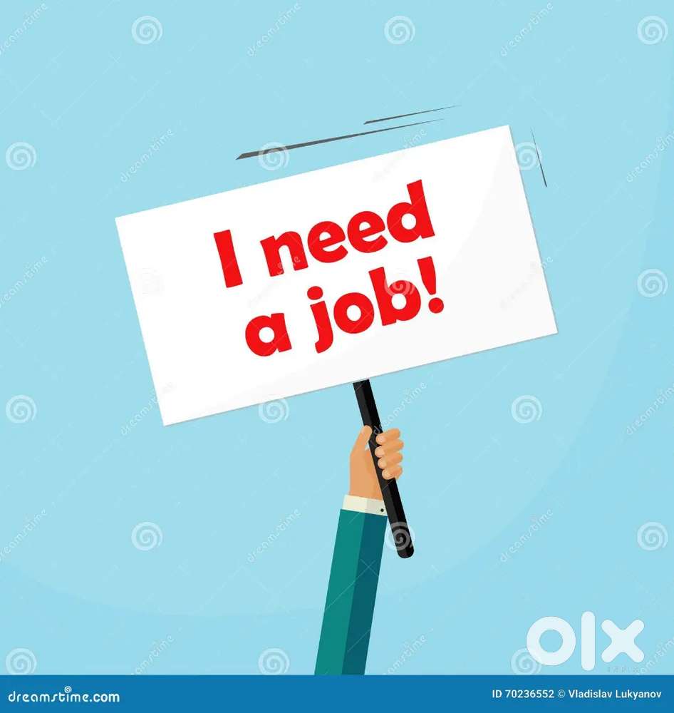 I want driver job