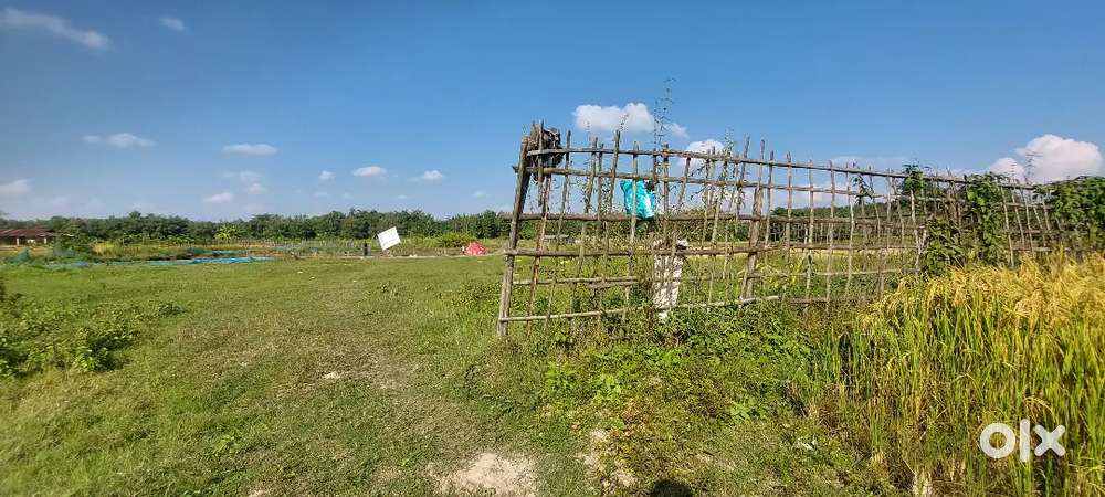 Land with assam type house for sale.