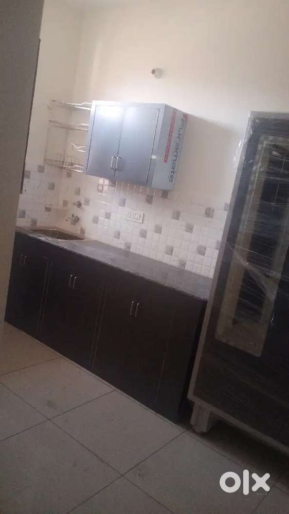 Need a female roommate