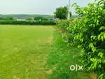 Farm House