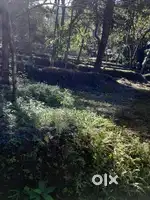 1 acre 15 cent plot of land in Vembadi,  Mattannur