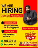 Junior Assistant