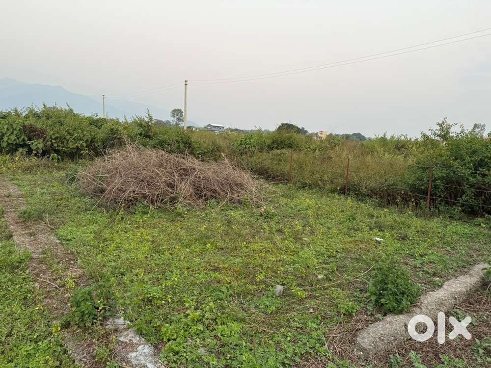R3 plot for sale in bhauwala at very reasonable price in