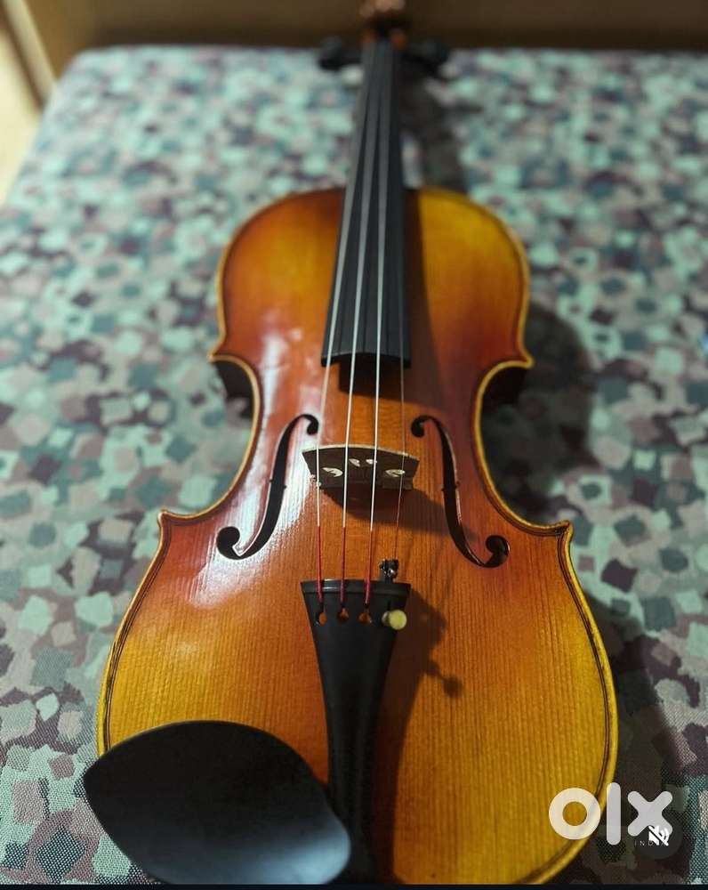 Professional violin